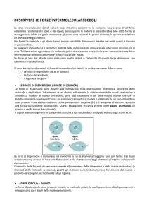 descrivere le forze intermolecolari deboli - Progetto e