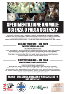Clicca qui per scaricare il volantino