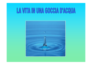 Diapositiva 1