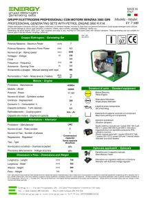 GRUPPI ELETTROGENI PROFESSIONALI CON MOTORE