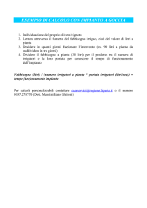 esempio di calcolo con impianto a goccia