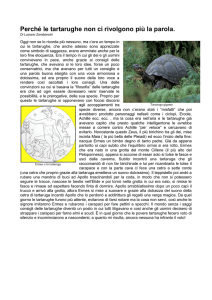 Perché le tartarughe non ci rivolgono più la parola.