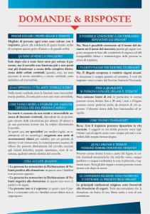 Domande e risposte - Comune di Sissa Trecasali