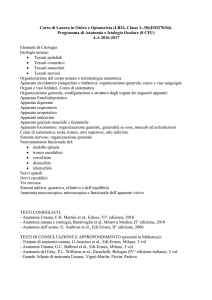 Programma