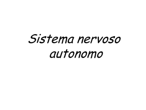 Sistema nervoso autonomo Tossicodipendenza Disturbo Ossessivo