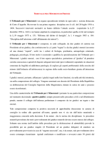 Tribunale per i Minorenni di Firenze: Cosa è