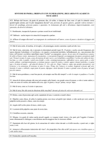 SINTOMI DI PSORA, ORDINATI CON NUMERAZIONE