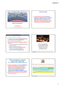 Diapositive dell`Introduzione alla Matrice