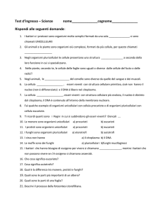Test d`ingresso – Scienze