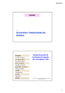 GLICOLIPIDI E TRASDUZIONE DEL SEGNALE