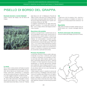 pisello di borso del grappa