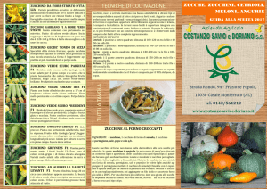 ZUCCHINI, ZUCCHE, CETRIOLI, MELONI, ANGURIE