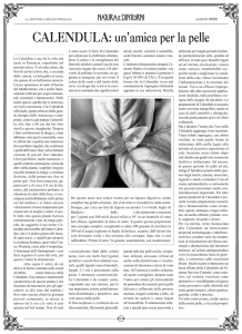 CALENDULA: un`amica per la pelle