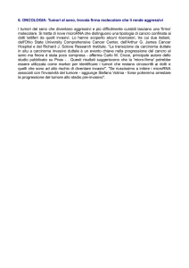 Vedi allegato
