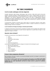 rx tubo digerente