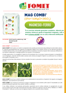 mag combi - Fomet SpA