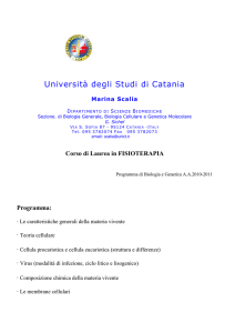 Università degli Studi di Catania