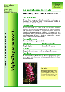 Digitalis purpurea.pub
