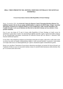 ZIKA: VIRUS PRESENTE NEL SISTEMA NERVOSO CENTRALE E