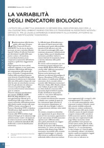 LA VARIABILITà DEGLI INDICATORI BIOLOGICI