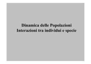 Presentazione di PowerPoint