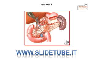 TUMORI DEL PANCREAS