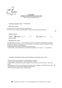 La matematica per un acceleratore lineare a - INFN-LNL