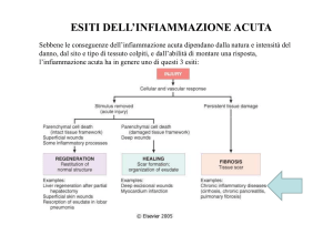 Infiammazione cronica File