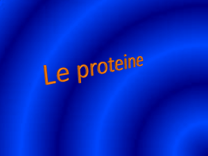 Le proteine - WordPress.com