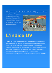 Scarica il documento
