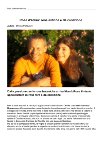 Rose d`antan: rose antiche e da collezione
