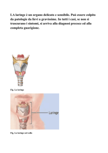 LA laringe è un organo delicato e sensibile. Può essere colpito da
