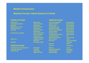 2013101715451_malattie idrotrasmesse