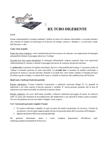rx tubo digerente - Spedali Civili di Brescia