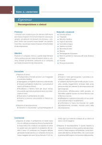 Decomposizione e sintesi - Zanichelli online per la scuola