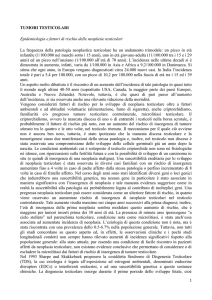 Tumori testicolari