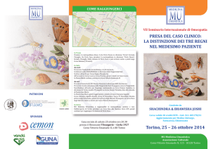 brochure-joshi - Federico Audisio di Somma