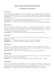 testo con soluzioni - Dipartimento di Fisica "E. Fermi"