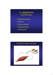 La ghigliottina