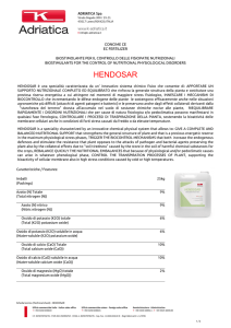 HENDOSAR