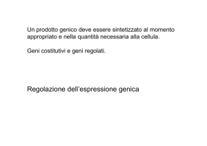 Lezione 16 Regolazione dell`espressione genica