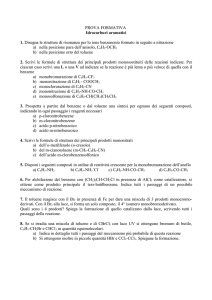prova formativa - Istituto Pascal RE