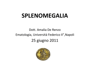 Dott.ssa De Renzo - Splenomegalie