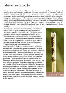 Infestazione da zecche