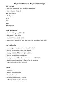 Programma d`esame Diagnostica per Immagini e Radioterapia