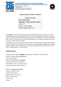 PIANO DI LAVORO Prof. Marco Sassi