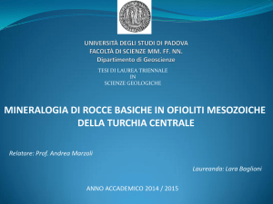 Documento PDF (Tesi)