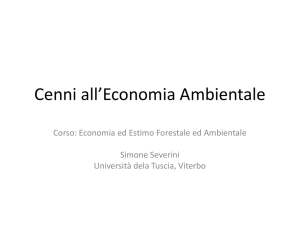 cenni all`economia ambientale bn