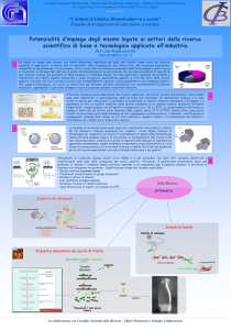 Presentazione di PowerPoint - Icb-Cnr