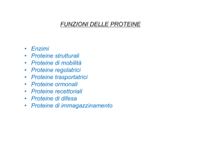 Lezione 2 Le macromolecole della cellula [modalità compatibilità]